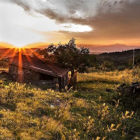 Fattoria La Tavernuzza Grassina Kültér fotó