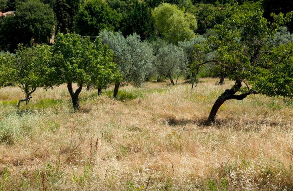Fattoria La Tavernuzza Grassina Szoba fotó