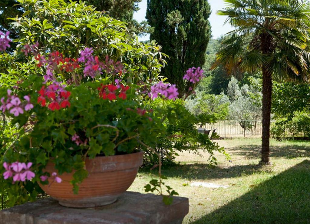 Fattoria La Tavernuzza Grassina Szoba fotó