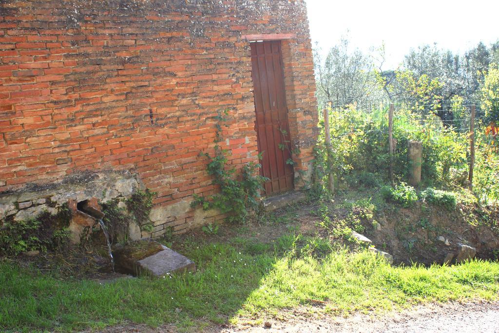 Fattoria La Tavernuzza Grassina Kültér fotó