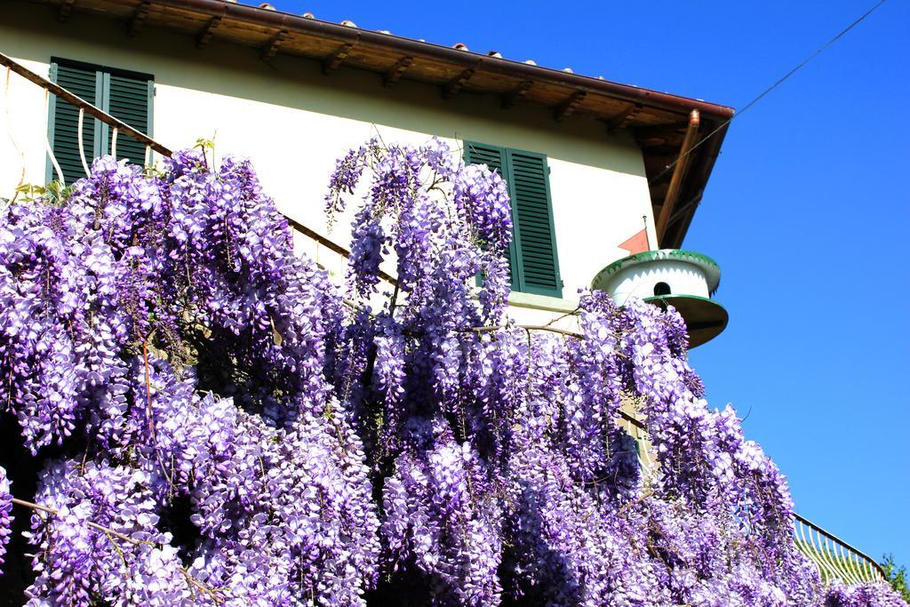 Fattoria La Tavernuzza Grassina Kültér fotó