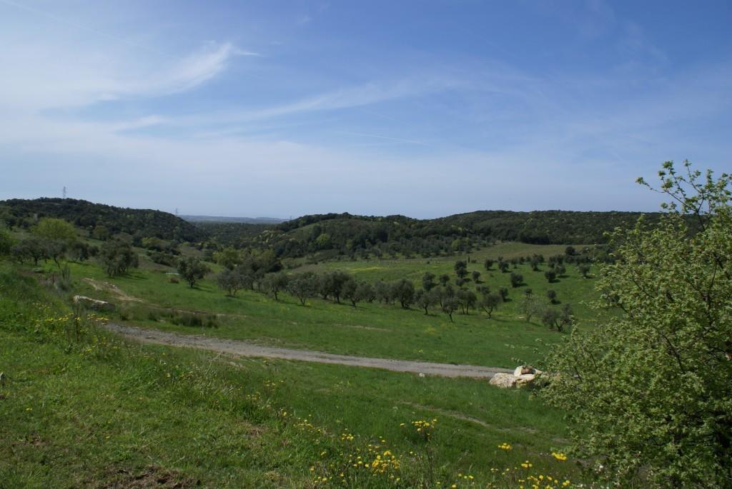 Fattoria La Tavernuzza Grassina Kültér fotó